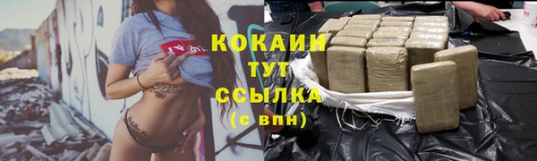 мяу мяу мука Баксан