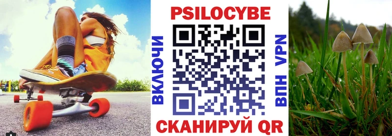 маркетплейс телеграм  Мыски  Псилоцибиновые грибы MAGIC MUSHROOMS 